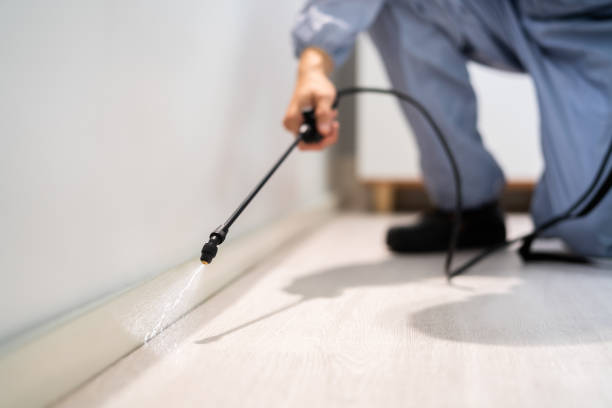 Certified termite inspector examining foundation in Cross Lanes